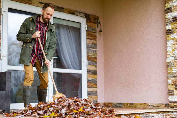 Best Office Junk Removal  in Streator, IL